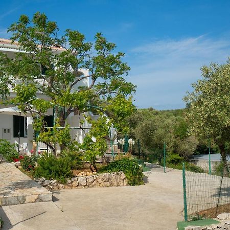 Kuca Za Odmor Denona Lägenhet Borovići Exteriör bild