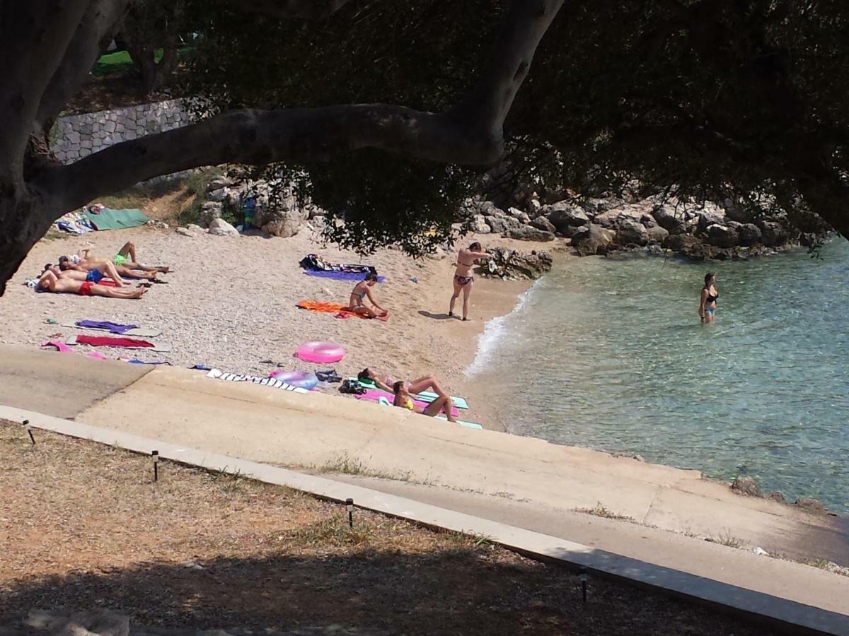 Kuca Za Odmor Denona Lägenhet Borovići Exteriör bild